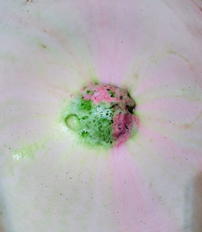 japanese honeysuckle